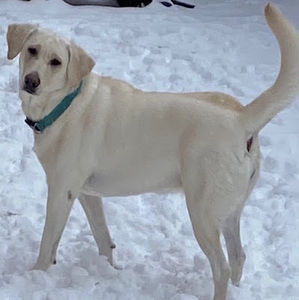 Meet your Posher, Ciara